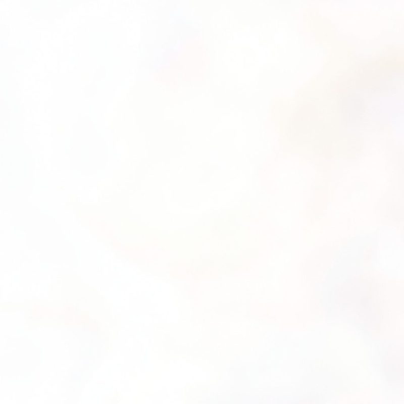 Rencontres pour célibataires etudiant